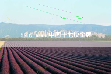 徐州中国十七块金牌