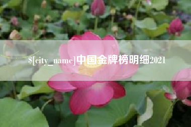 徐州中国金牌榜明细2021