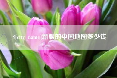 徐州新版的中国地图多少钱
