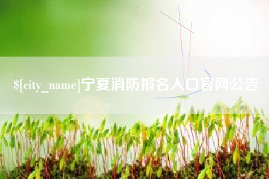 徐州宁夏消防报名入口官网公告