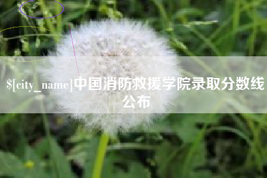 徐州中国消防救援学院录取分数线公布