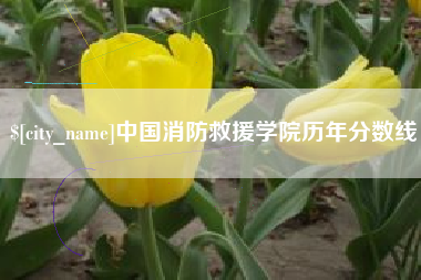 徐州中国消防救援学院历年分数线