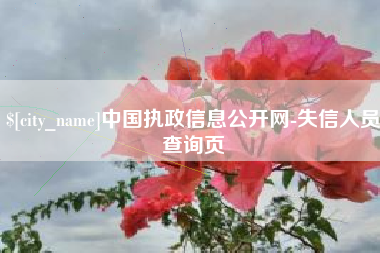 徐州中国执政信息公开网-失信人员查询页