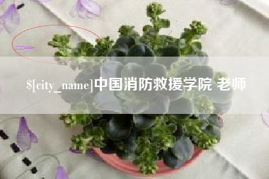 徐州中国消防救援学院 老师