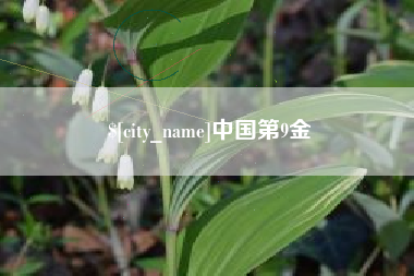 徐州中国第9金