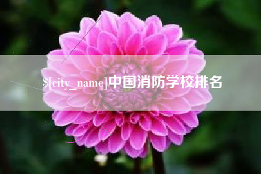 徐州中国消防学校排名