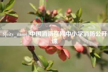 徐州中国消防官网中小学消防公开课
