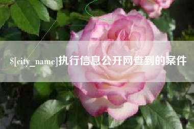 徐州执行信息公开网查到的案件