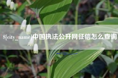 徐州中国执法公开网征信怎么查询