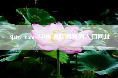 徐州中国消防网官网入口网址