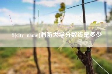 徐州消防大学分数线是多少