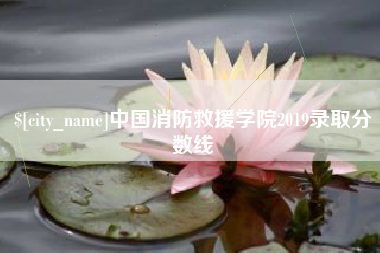 徐州中国消防救援学院2019录取分数线