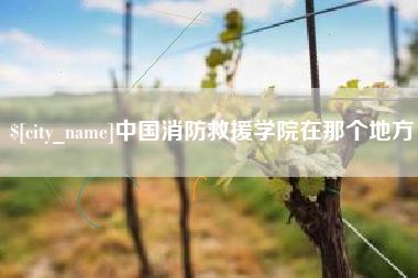 徐州中国消防救援学院在那个地方