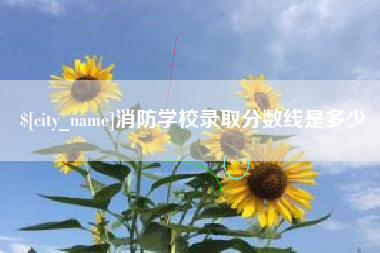 徐州消防学校录取分数线是多少