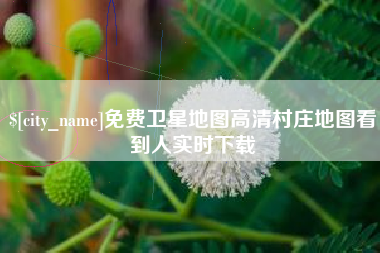 徐州免费卫星地图高清村庄地图看到人实时下载