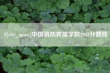 徐州中国消防救援学院2018分数线