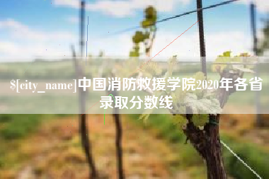徐州中国消防救援学院2020年各省录取分数线