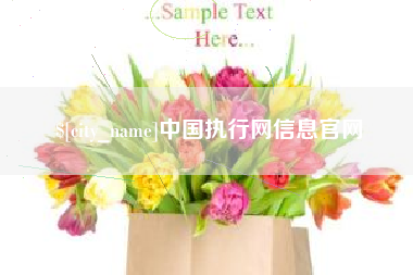 徐州中国执行网信息官网