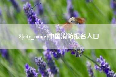 徐州中国消防报名入口