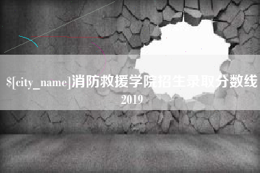 徐州消防救援学院招生录取分数线2019