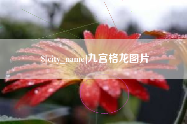 徐州九宫格龙图片