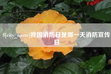徐州我国消防日是哪一天消防宣传日