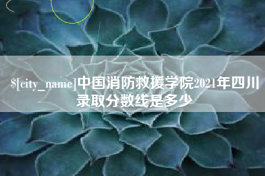 徐州中国消防救援学院2021年四川录取分数线是多少