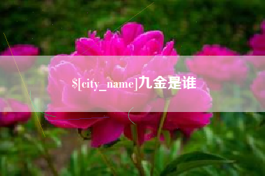 徐州九金是谁