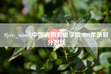 徐州中国消防救援学院2019年录取分数线