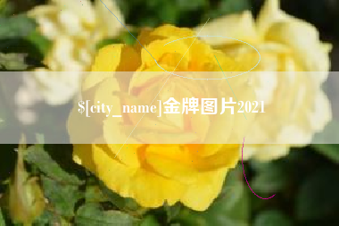 徐州金牌图片2021