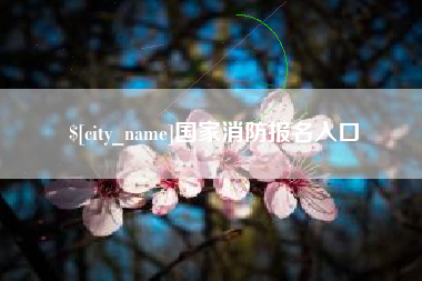 徐州国家消防报名入口