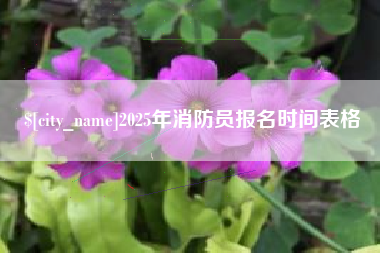 徐州2025年消防员报名时间表格