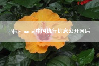 徐州中国执行信息公开网后