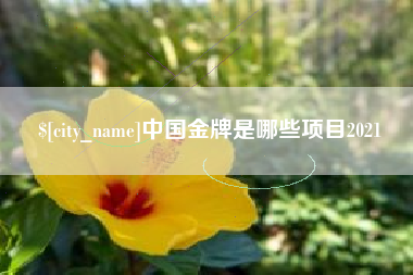 徐州中国金牌是哪些项目2021