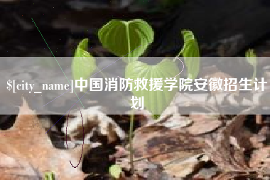 徐州中国消防救援学院安徽招生计划