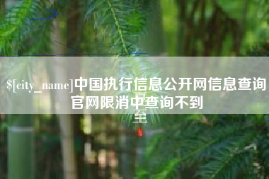 徐州中国执行信息公开网信息查询官网限消中查询不到