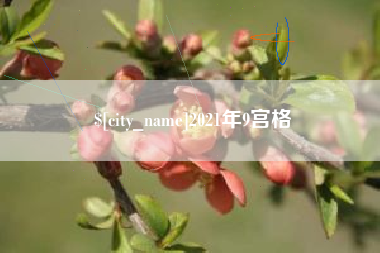 徐州2021年9宫格
