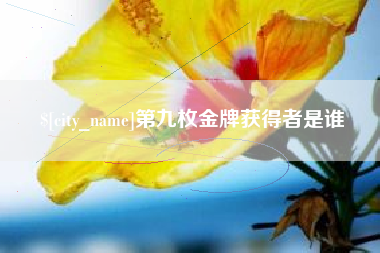 徐州第九枚金牌获得者是谁