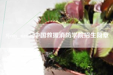 徐州中国救援消防学院招生简章