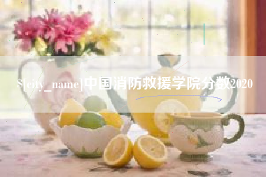 徐州中国消防救援学院分数2020
