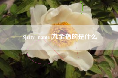 徐州九金指的是什么