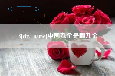 徐州中国九金是哪九金