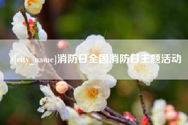 徐州消防日全国消防日主题活动