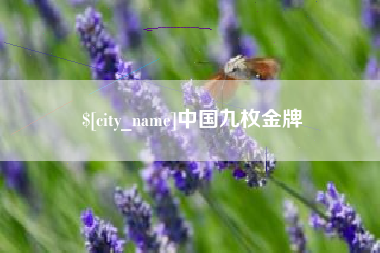 徐州中国九枚金牌