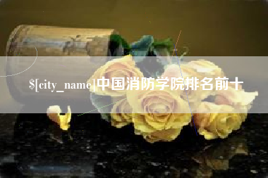 徐州中国消防学院排名前十