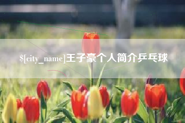 徐州王子豪个人简介乒乓球