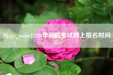 徐州2020年消防考试网上报名时间