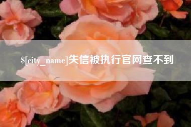 徐州失信被执行官网查不到