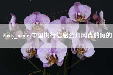 徐州中国执行信息公开网真的假的