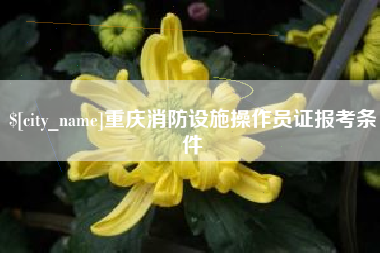 徐州重庆消防设施操作员证报考条件